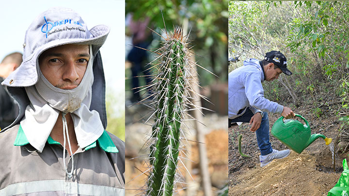 En el lugar se plantan especies nativas. / Foto. Jorge Iván Gutiérrez