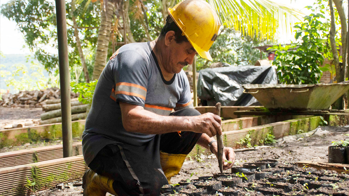 Cultivos alrededor de la mina. (Foto: La Opinión)