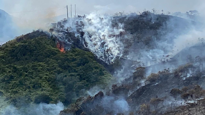 La emergencia se presenta en la vereda Tapurcuá