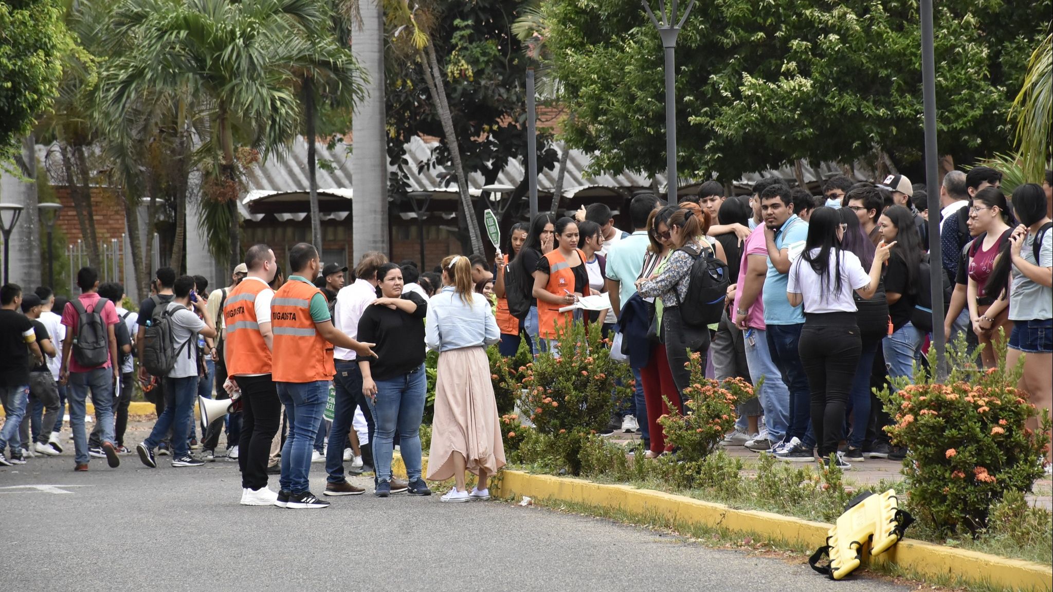 Universidad Francisco de Paula Santander