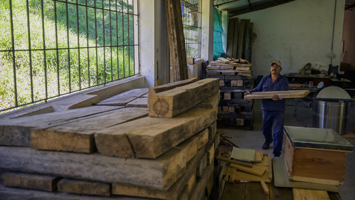 Madera en la apicultura