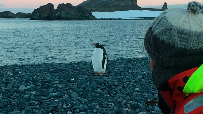 Las lágrimas brotaron de los ojos de Jenny Parada la primera vez que vio un pingüino.