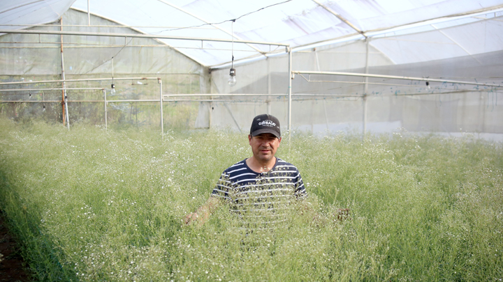 Se trata de una nueva alternativa para los agricultores en el municipio. 