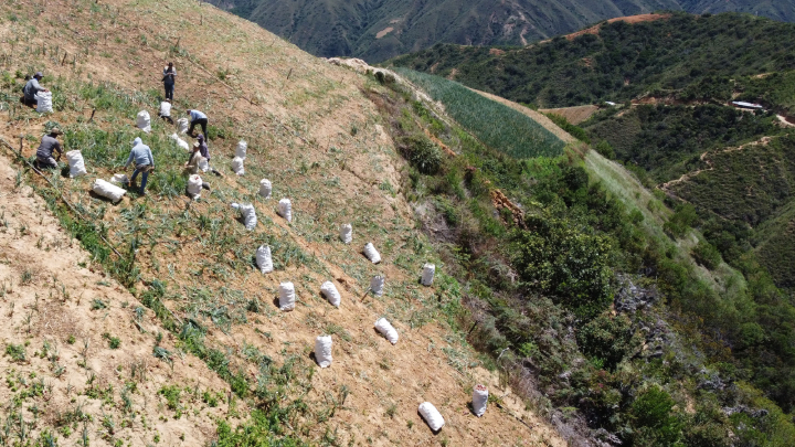 CULTIVOS EN EL TARRITA