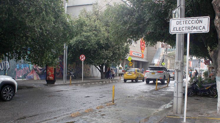 Los conductores piden que se poden los árboles, para mejorar la visibilidad de algunas 'fotomultas', como la ubicada en la calle 11 entre avenidas primera y segunda este. / Foto: Stefany Peñaloza / La Opinión