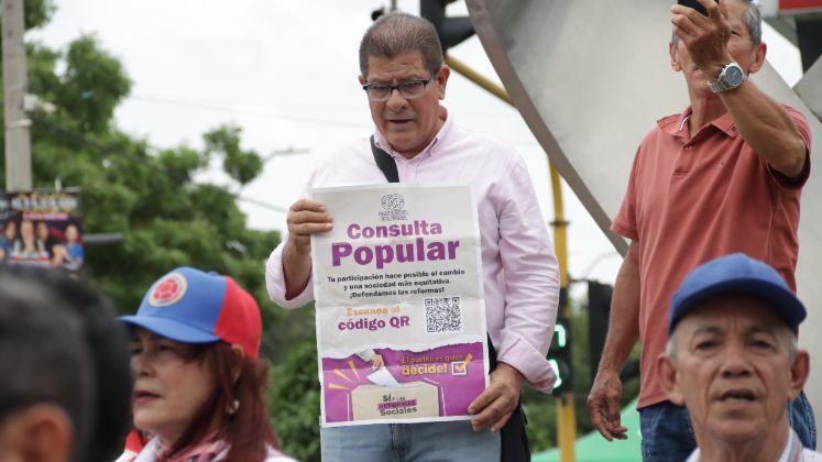 Consulta popular- marchas