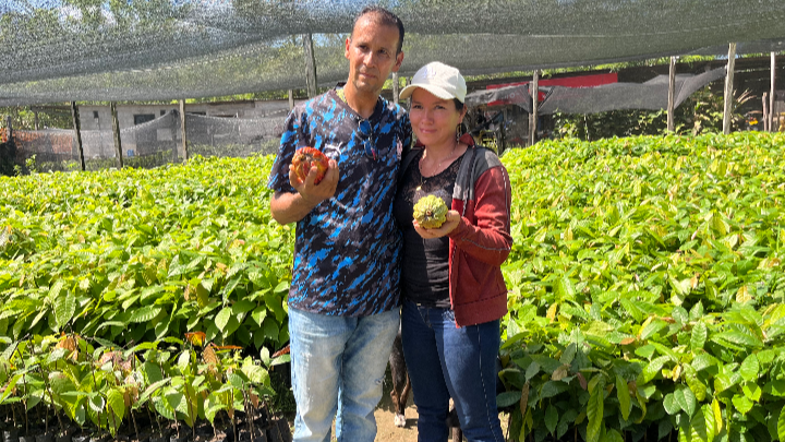 Productores de cacao.
