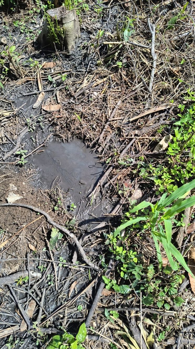 Este hecho representa un riesgo para la salud