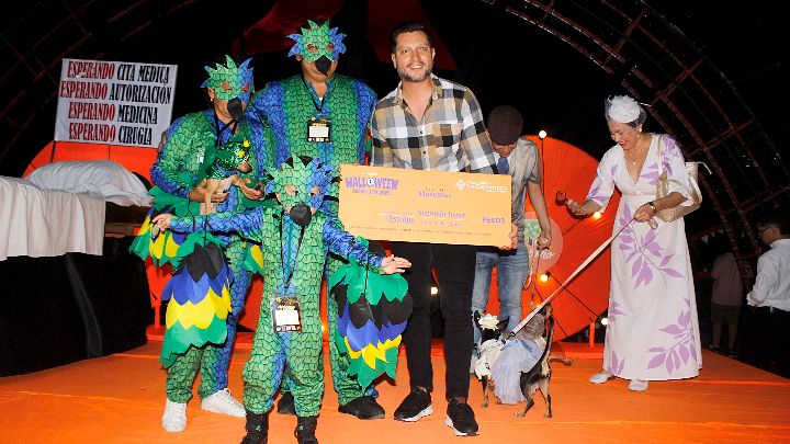 La familia colibrí y el perrisaurio- Categoría Mascotas.