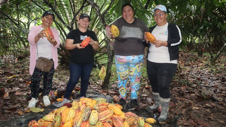 Las asociaciones vinculadas al programa reciben acompañamiento técnico y financiero para mejorar sus capacidades administrativas, financieras y modelos de negocio.