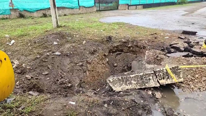 Presuntamente a manos del Ejército de Liberación Nacional (Eln)