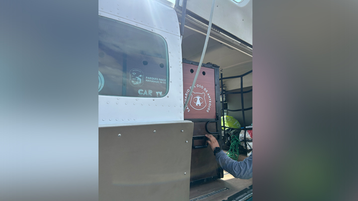 El oso Tamá vuelve a su casa.