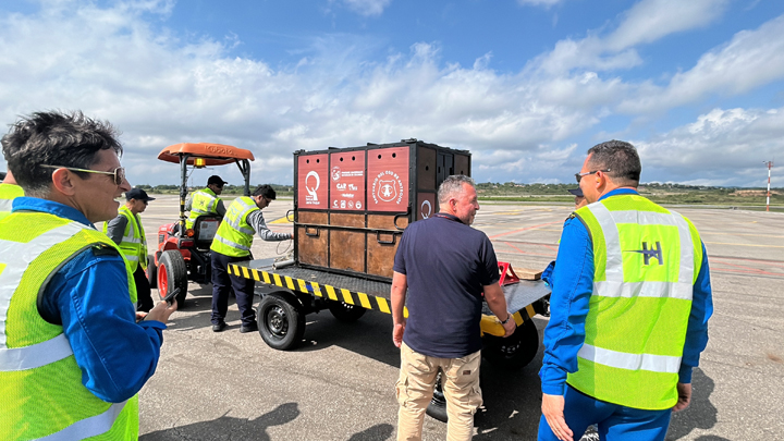 De Bogotá llegó hasta el Aeropuerto Camilo Daza 