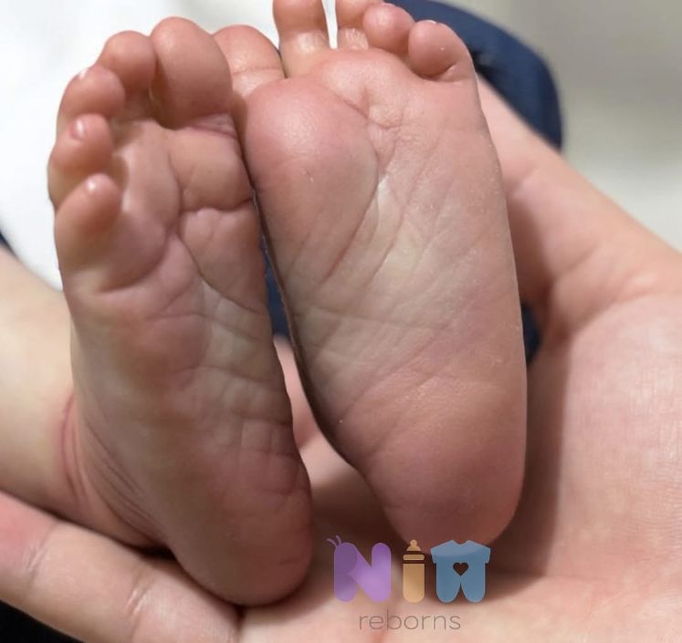 Cada nivel de detalle es único. 