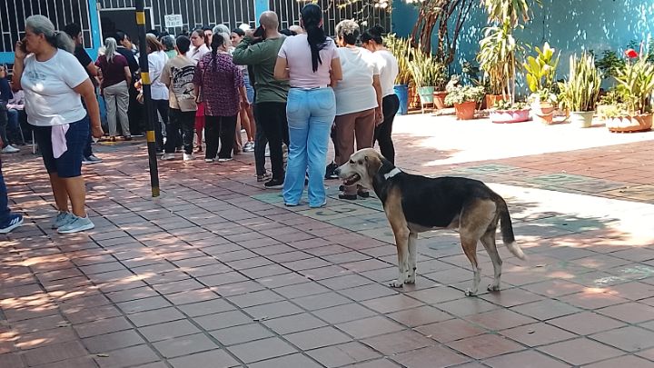 Hasta las mascotas desfilaron ayer por los puestos de votación/Foto Carlos Ramírez