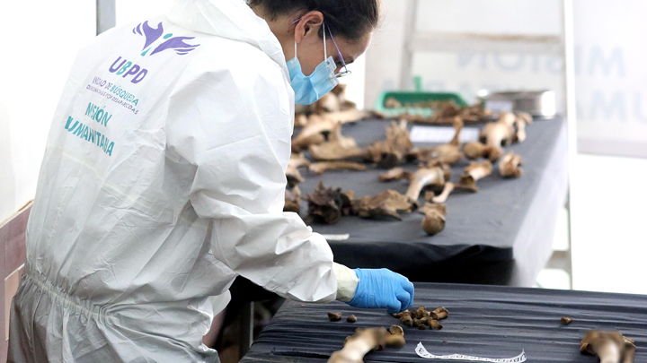 En los últimos años, las solicitudes de búsqueda han aumentado.