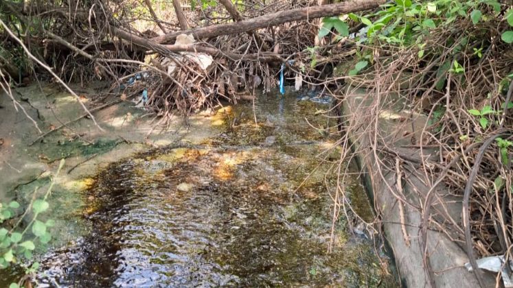 Las basuras que desde otros sectores se tiran al canal han provocado su taponamiento.