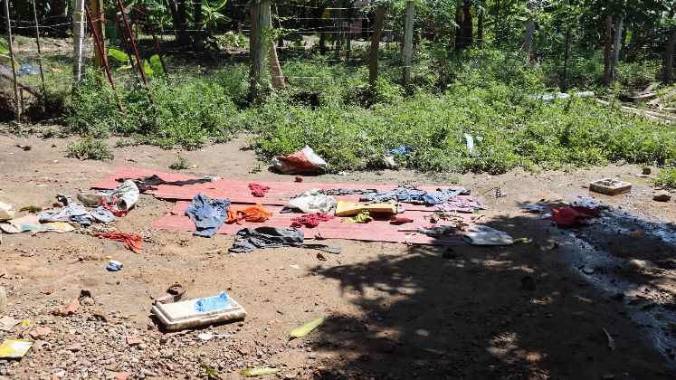 Cultivos de plátano, yuca y arroz quedaron completamente destruidos.