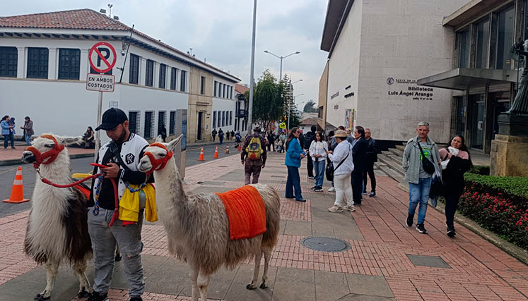 Tour Fantasma en Bogotá