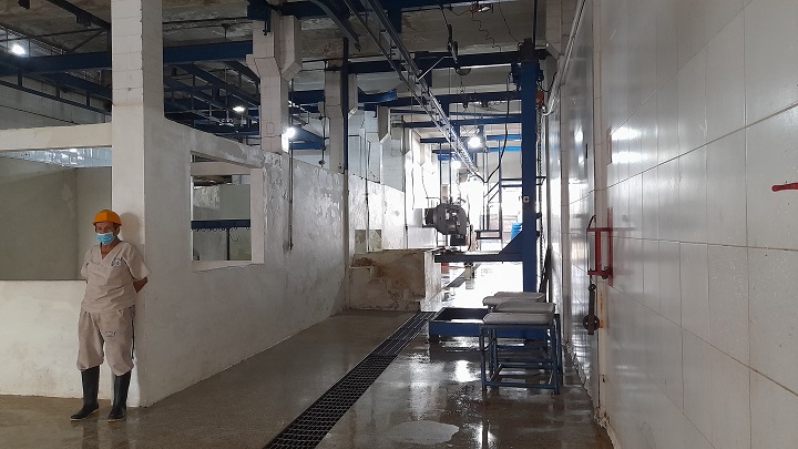 Este martes no se sacrificaron reses en el matadero de San Cristóbal. Foto Anggy Polanco / La Opinión 