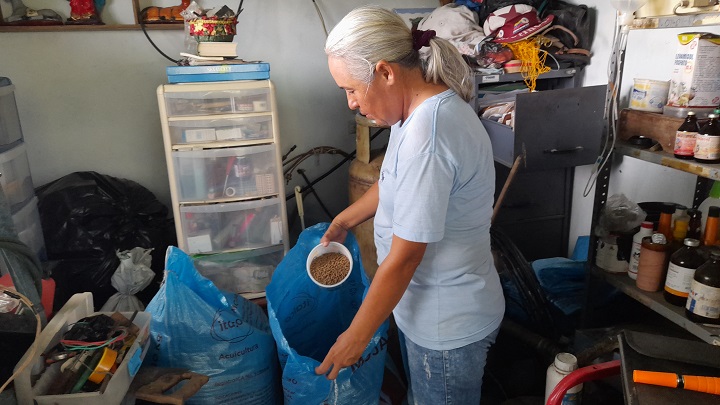 Luisiana Molina indicó que desde hace años deben traer el alimento para las cachamas desde Colombia. Foto Anggy Polanco /La Opinión