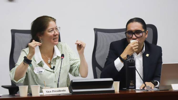 Alejandra Barrios, directora de la MOE