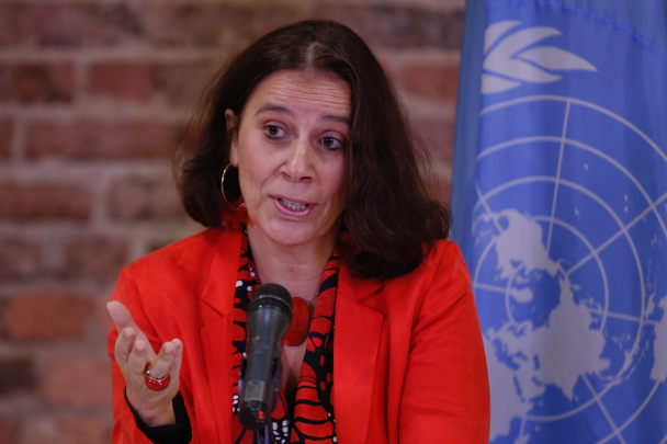 Experta internacional Antonia Urrejola./Foto archivo