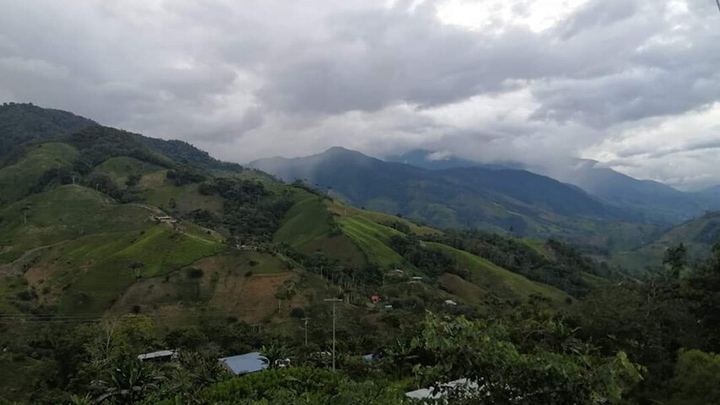 Argelia, Cauca