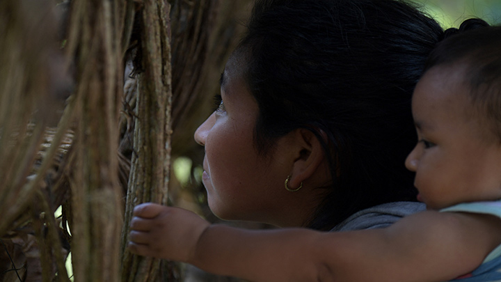Un miembro de la comunidad indígena Nasa observa aves en un mirador en Gaitania