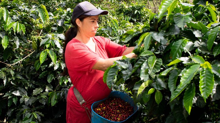 Créditos para mujeres
