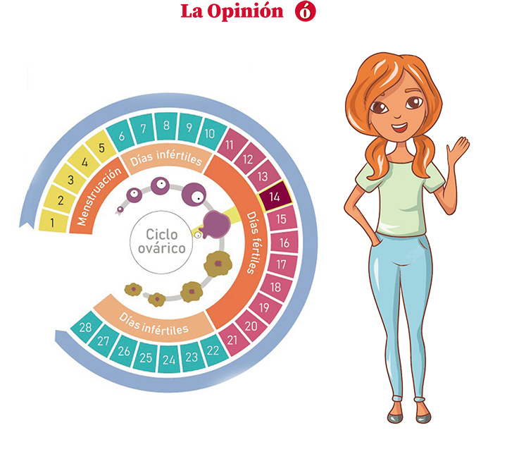 Cuadro menstruación