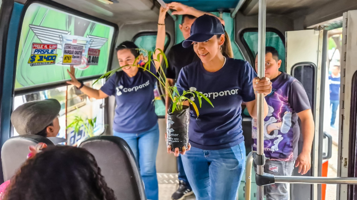 Entrega de plantas en transporte público. 