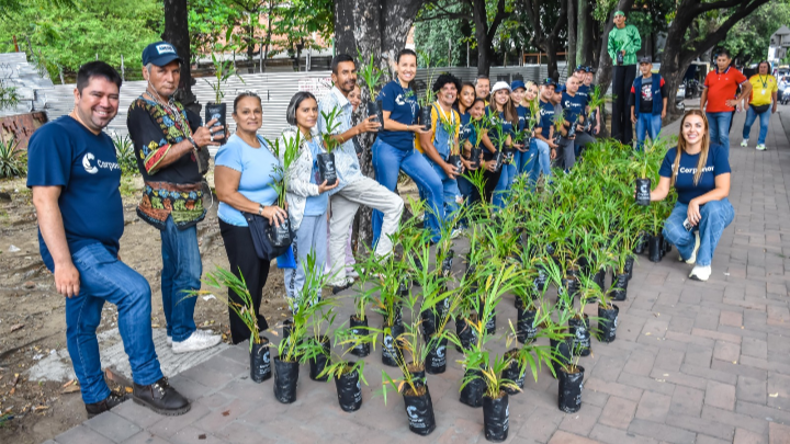 5.000 plantas de palma de areca fueron entregadas en Cúcuta. 
