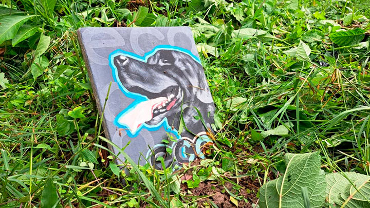 Las mascotas del Táchira cuentan con un sitio para su sepultura