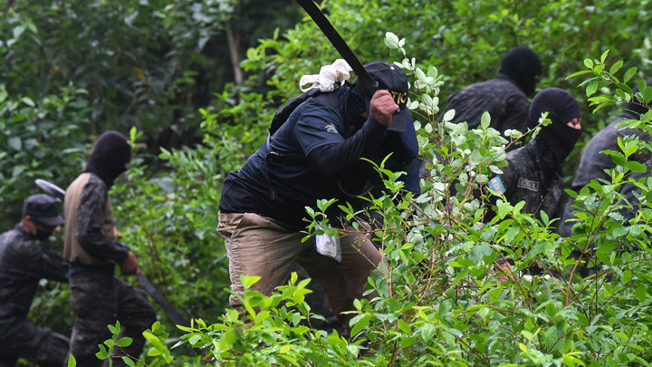 Cocaína en Honduras./AFP