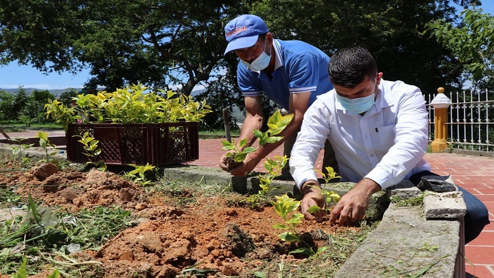 Las autoridades ambientales trabajan en el embellecimiento del cerro tutelar de Cristo Rey en Ocaña. 