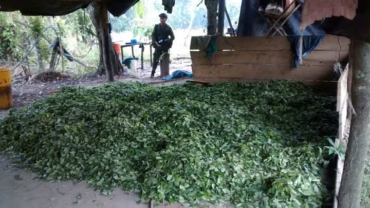 Los raspachínes decidieron irse para la minería ilegal.