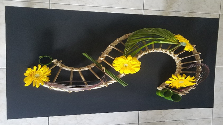Diseño bajo relieve