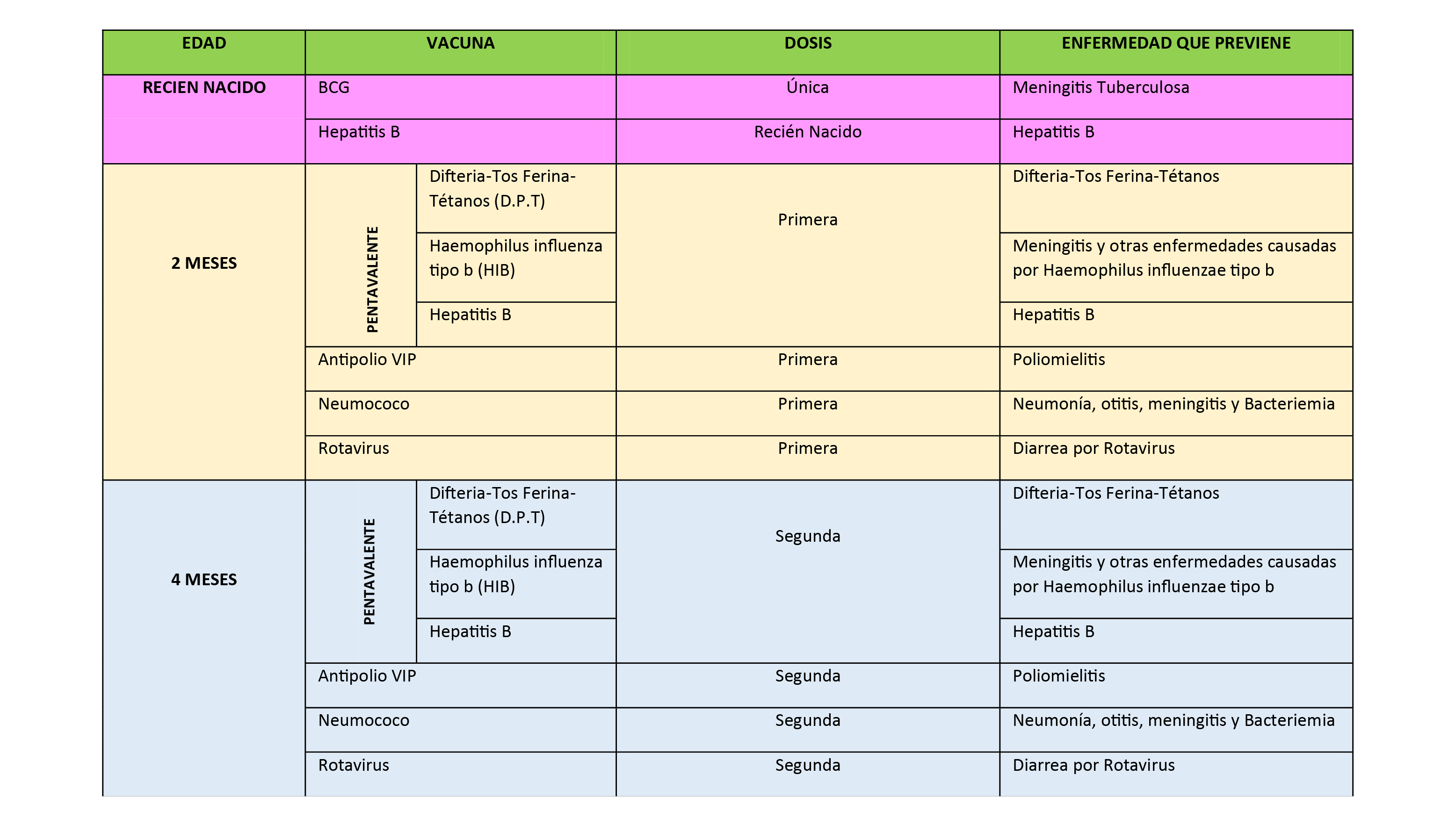 ESQUEMA DE VACUNACION 