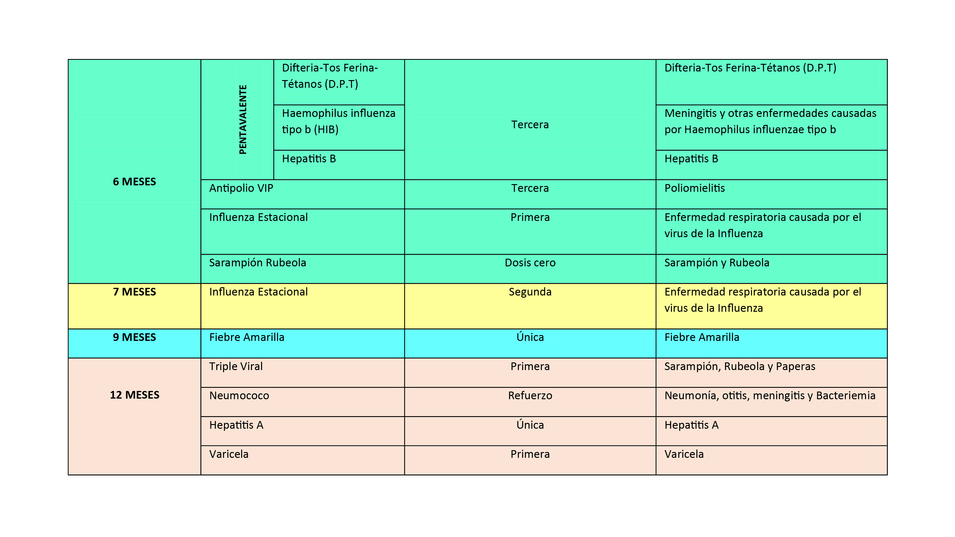 ESQUEMA DE VACUNACION 