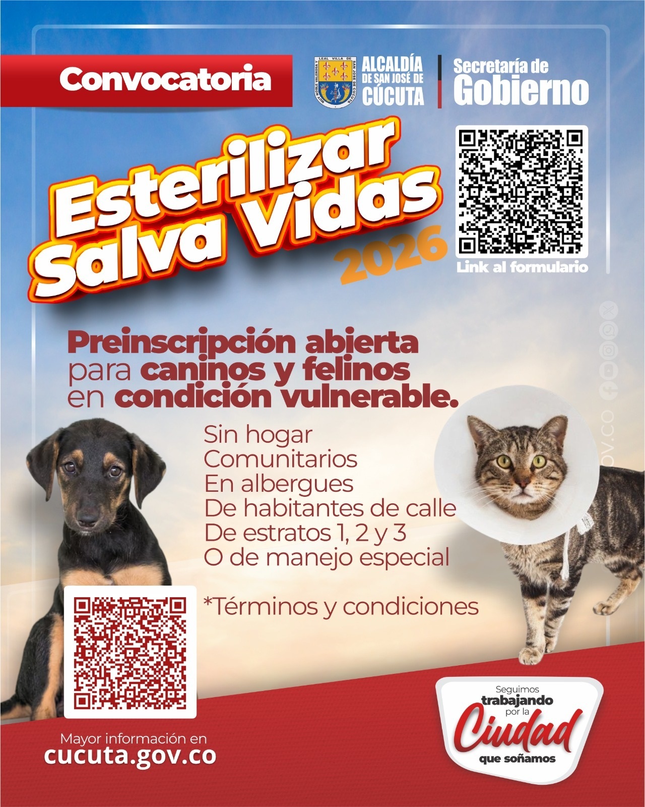ESTERILIZACIÓN