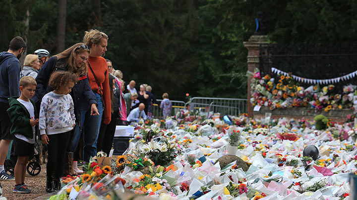 Flores en el Castillo Balmorla