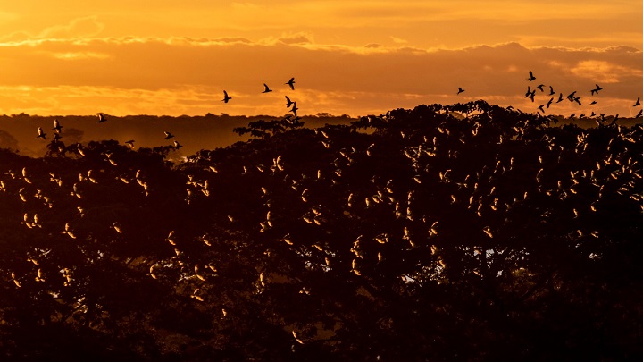 Colombia va rumbo a la COP26, la gran cumbre mundial sobre cambio climático./Foto: cortesía
