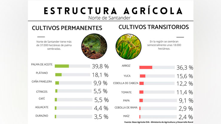 Grafico sector agrícola