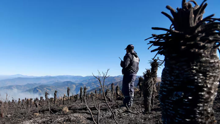 Incendio Páramo