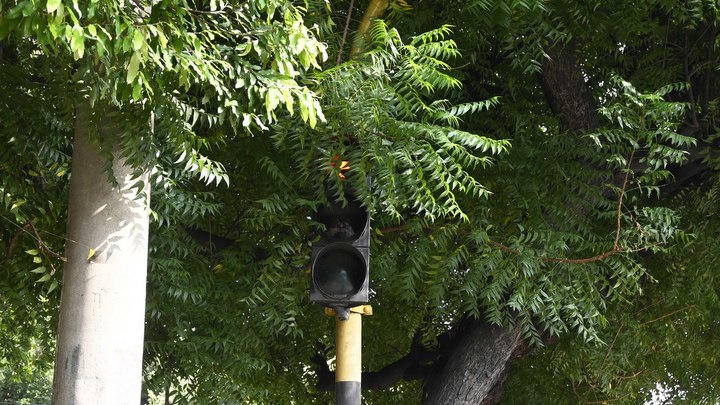 Corponor aclara permisos