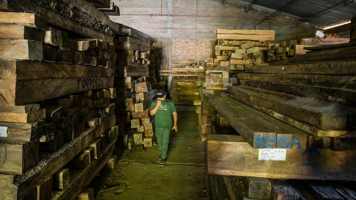 La madera y apicultura en Colombia