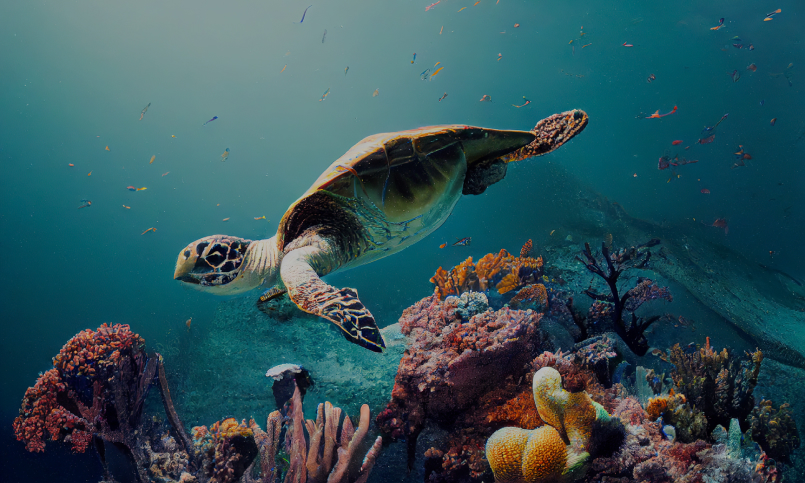 foto cortesía: Bancolombia