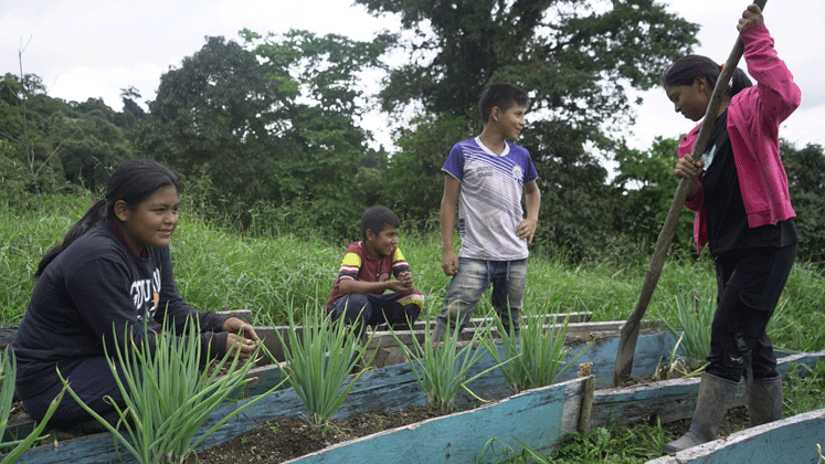Niños de la comunidad Bari