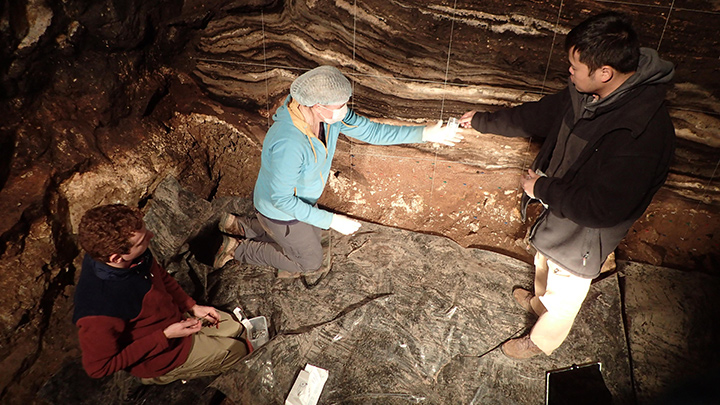Svante Pääbo, premio Nobel de Medicina